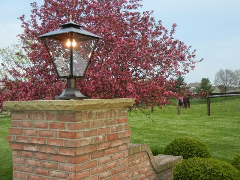 high quality outdoor gas lamp with LEDs